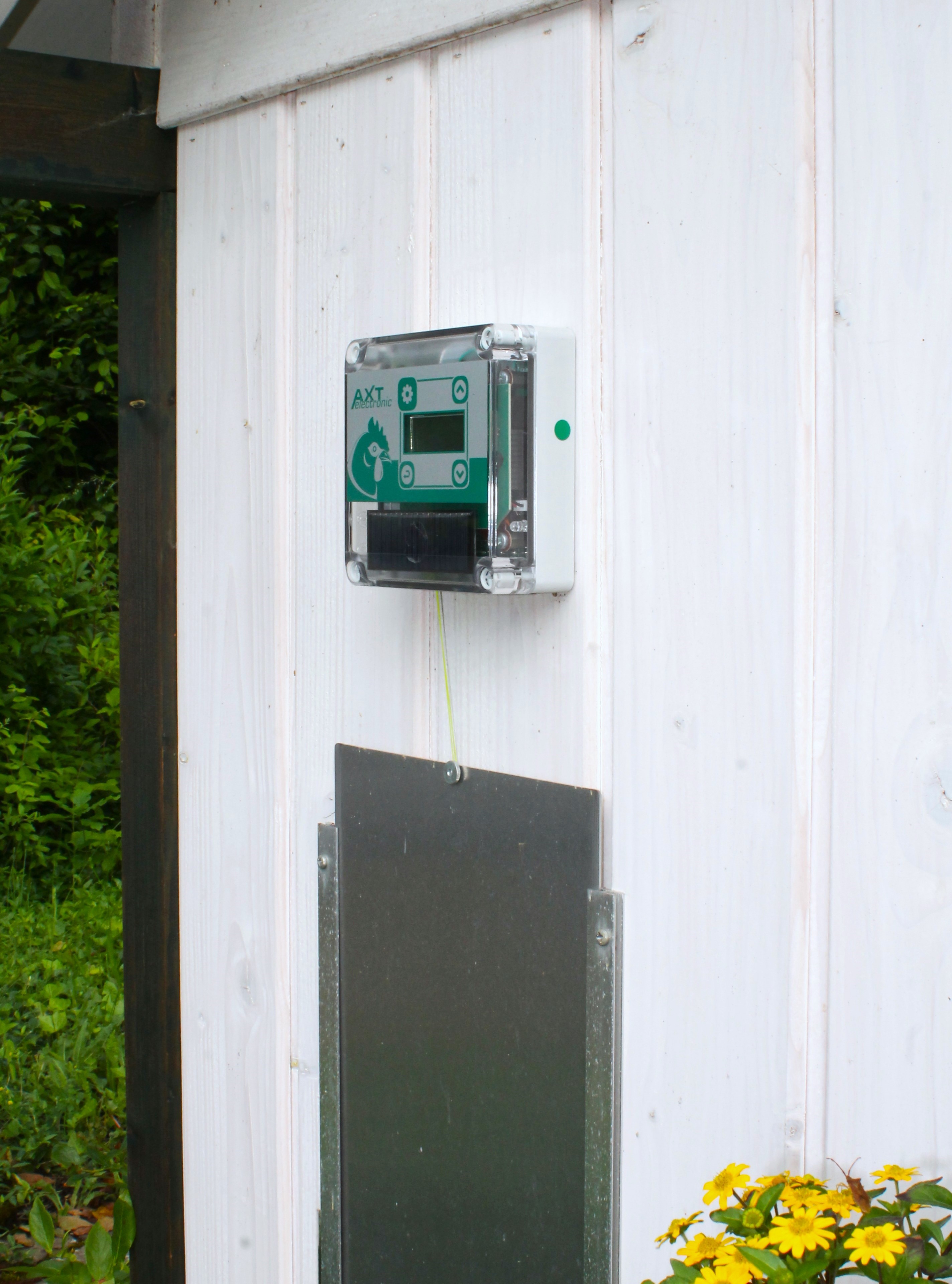Elektronische automatische Hühnerklappe VSE-Solar mit AXT-electronic Steuergerät, Display und Solarzelle, montiert an weißer Holzwand. Halb geöffnete Metallschiebetür unten wird von gelber Schnur gehalten; Grün im Hintergrund.