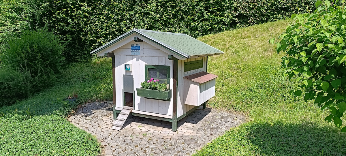 Weißer Hühnerstall mit grünem Dach und Akzenten auf runder Pflasterfläche. Unter dem Fenster hängt ein Blumenkasten mit rosa Blüten, eine Holzrampe führt zum Eingang. Umgeben von sattgrünem Gras und hohen Büschen.